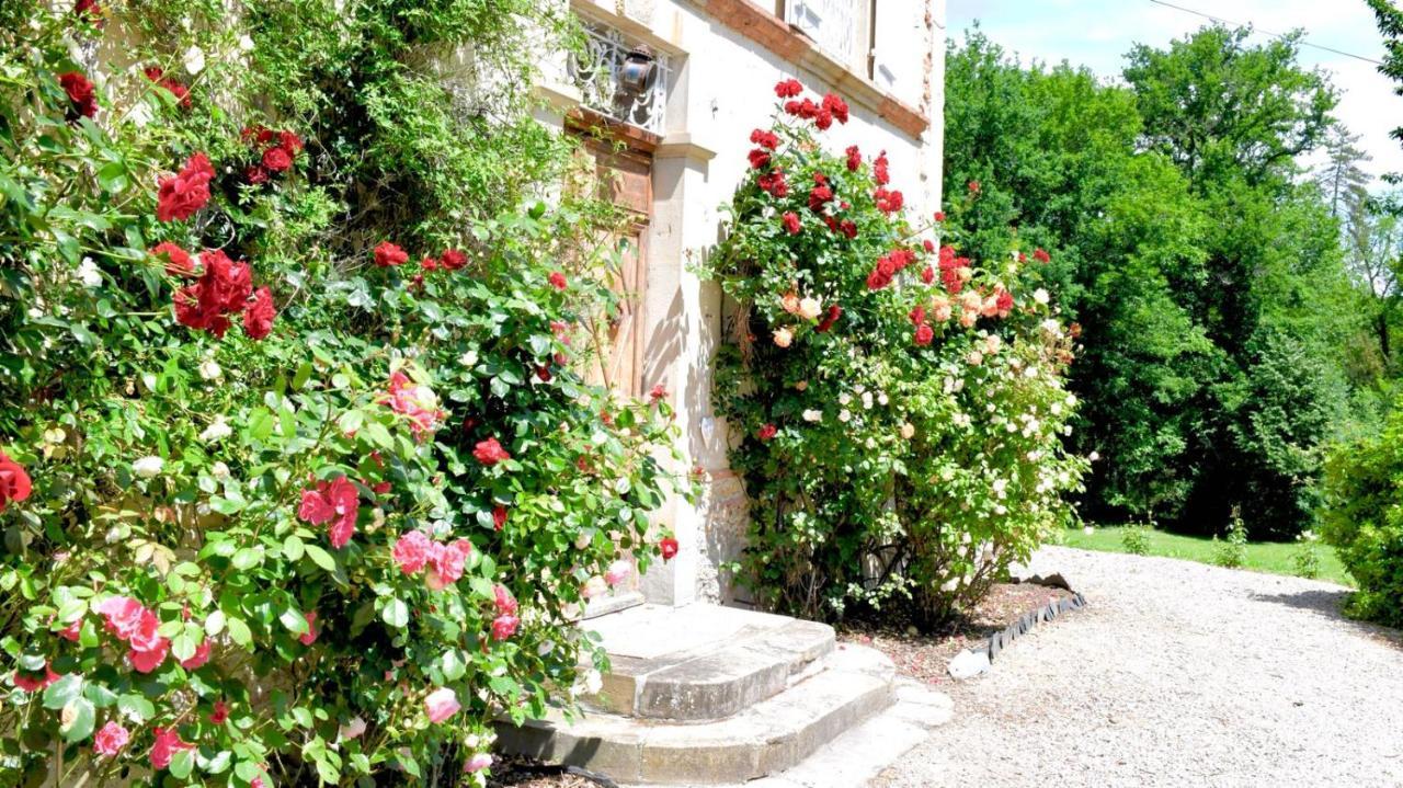 Chateau De Belespy La Bastide-de-Besplas Екстер'єр фото